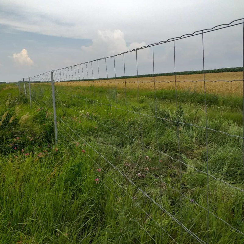 2.1*2.4m australia std galvanized temporary fence